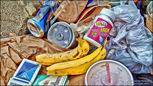 Garbage for dinner, anyone? To be fair it's not as bad as it sounds and goes far beyond vegetable peels, off-cuts & decayed food. "Freegans" often find unopened packaged goods in the trash outside stores and shopping centers.