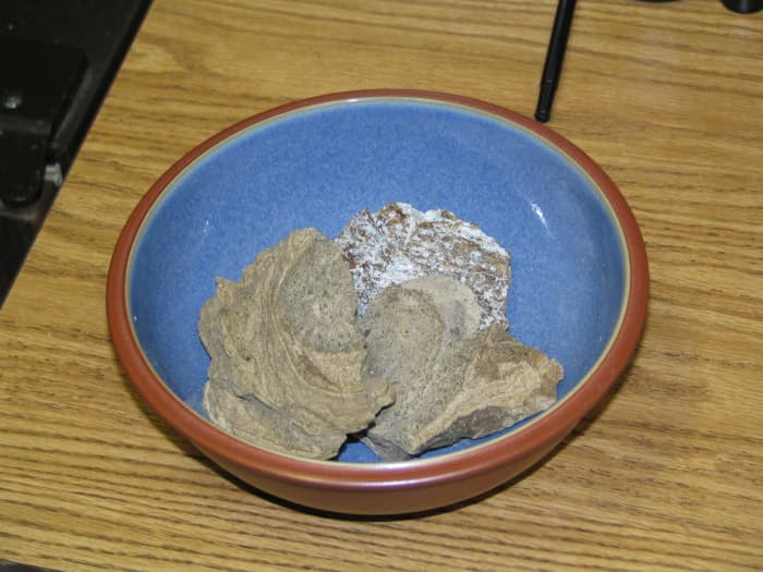 A bowl of ambergris. Some people refer to this whale secretion as 'floating gold' as its rarity and high demand pushes its value up to around $10,000 a pound (or just under half a kilo).