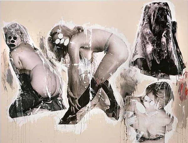 Prince's creation using several of Cariou's photos blended into a collage.