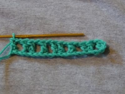 Row 1: Crochet back across the chain creating sets of double posts that will hold the crocodile stitches.