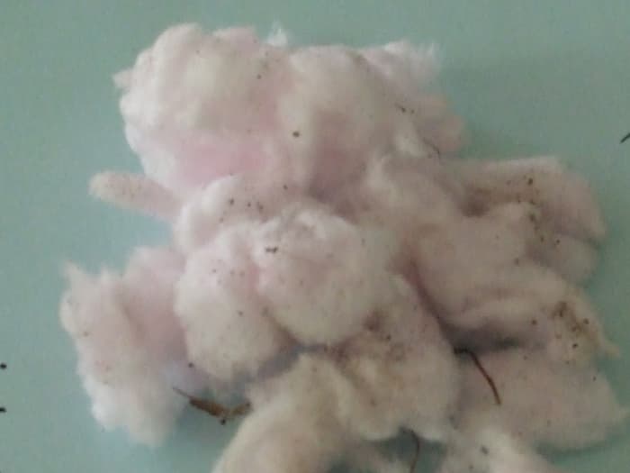Close-up of the insulation after it has been broken up and air fluffed. (The dirt is from the ground - the actual insulation is pristinely clean.)