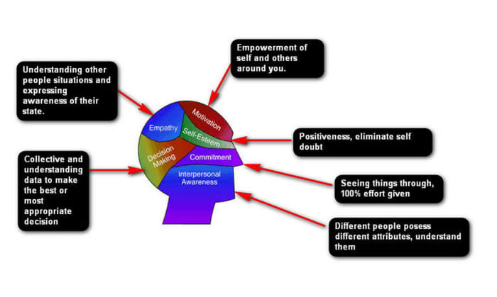 IQ vs EQ vs SQ - HubPages