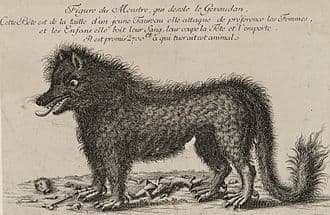 Engraving of the Beast of Gevaudan responsible for many deaths in Southern France during the late 18th Century