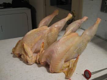 These 4.5 months old Barred Plymouth Rocks prove dual purpose birds can still make for a good meal. This would be a dish our grandmothers and great grandmothers would have prepared here in New England.