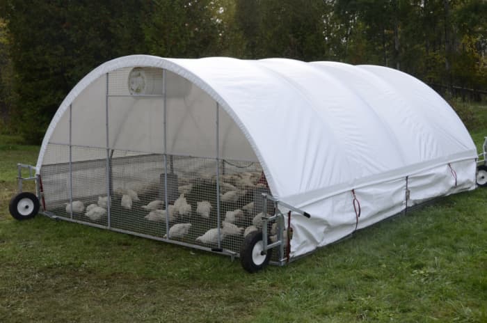 This mobile chicken tractor can be pulled into a different patch of grass every day allowing for old pasture to regrow and new pasture to be eaten.