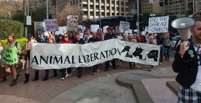 Activists fighting for Animal Liberation at the 'Close all Slaughterhouses down' March in Sydney June 2015