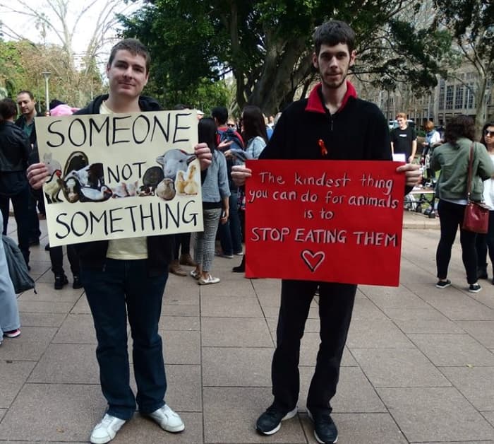 Activists fighting for Animal Liberation at the 'Close all Slaughterhouses down' March in Sydney June 2015