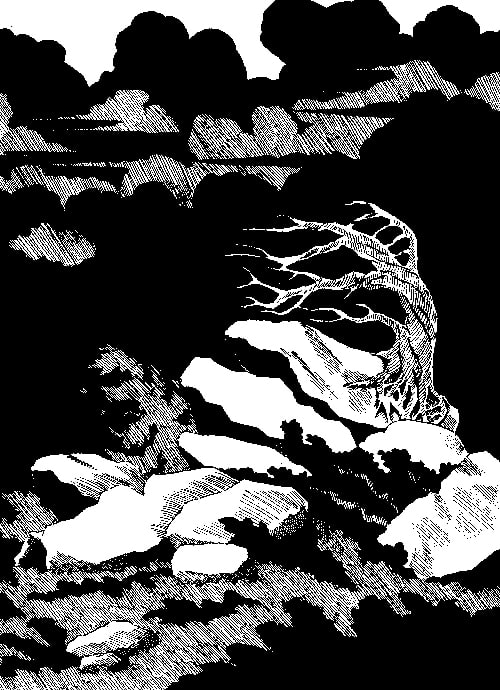 The horizon black with storm clouds and the violent winds are chilling to the bone. A horribly bent skeleton of a tree clings to the rocks.