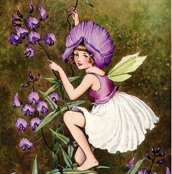 Here we show a portion of "Sarsaparilla" - it is from Ida Rentoul Outhwaite's suite published in "A Bunch of Wild Flowers" (1933).