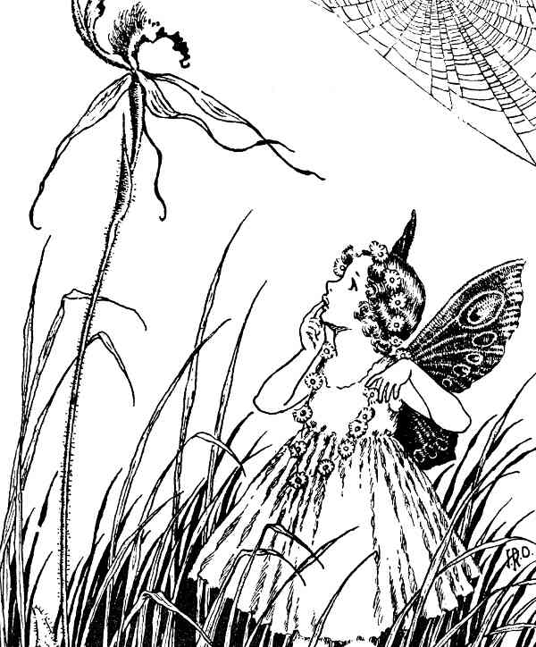 Here we show a portion of "Spider Orchid" - it is from Ida Rentoul Outhwaite's suite published in "A Bunch of Wild Flowers" (1933).