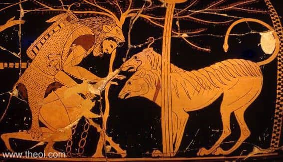 Heracles chaining Cerberus, the hound of Hades | Greek vase, Athenian red figure amphora. Heracles was another example of who the Athenians considered a 'hero' Attributed to the Andokides Painter and Lysippides Painter