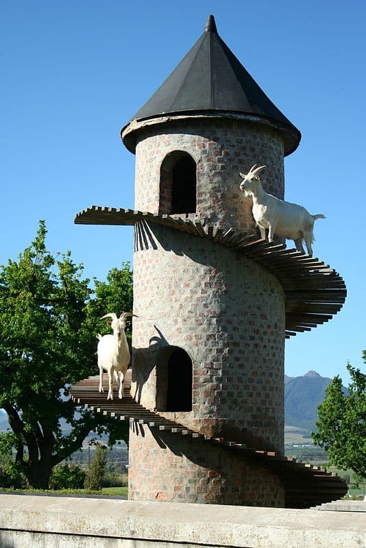 A Goat Tower is a decorative goat house, modeled on a European garden Folly, an early example of which was built in Portugal in the 19th century. This South African goat tower at Fairview Winery was built in the 20th century and became famous.