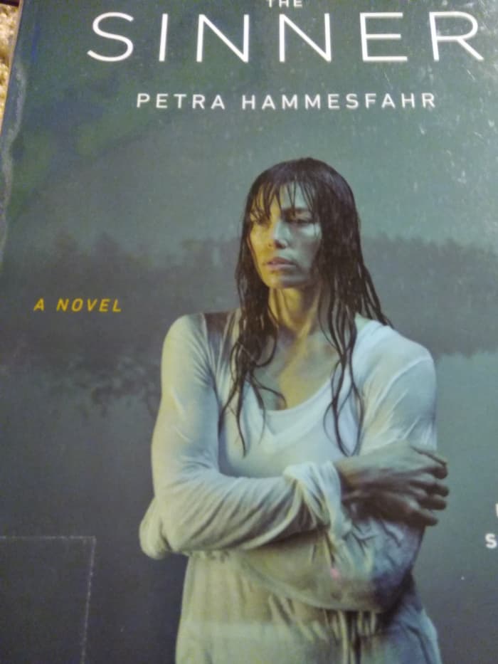 Book Review and Summary "The Sinner" by Petra Hammesfahr