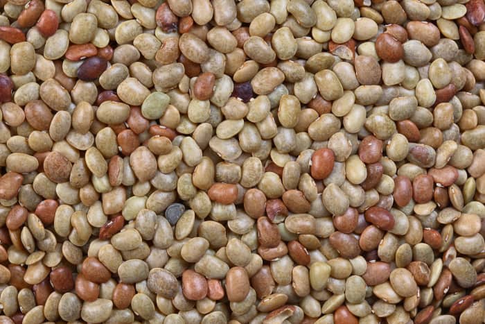 seeds of horsegram beans
