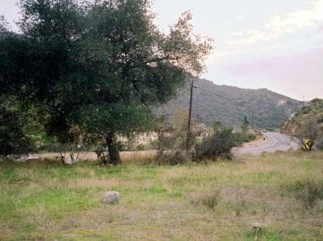 Dehesa Road: the body recovery site. At the time of the crime, there was thick brush between the site and the road, so access was from a dirt track further up the mountain.