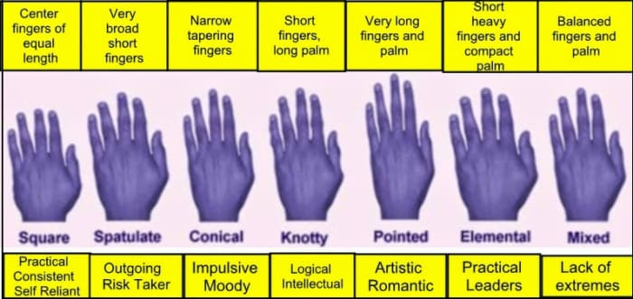 How to Read Palms - a Basic Guide to Palm Reading. - HubPages