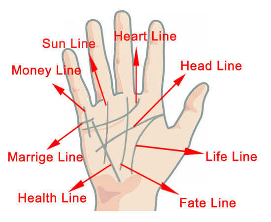 How To Read Palms - A Basic Guide To Palm Reading. - HubPages