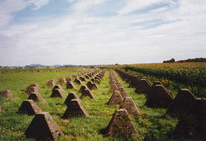 Dragon's Teeth of the West Wall built to stop Germany from invading tanks over 70 years after the Second World War.