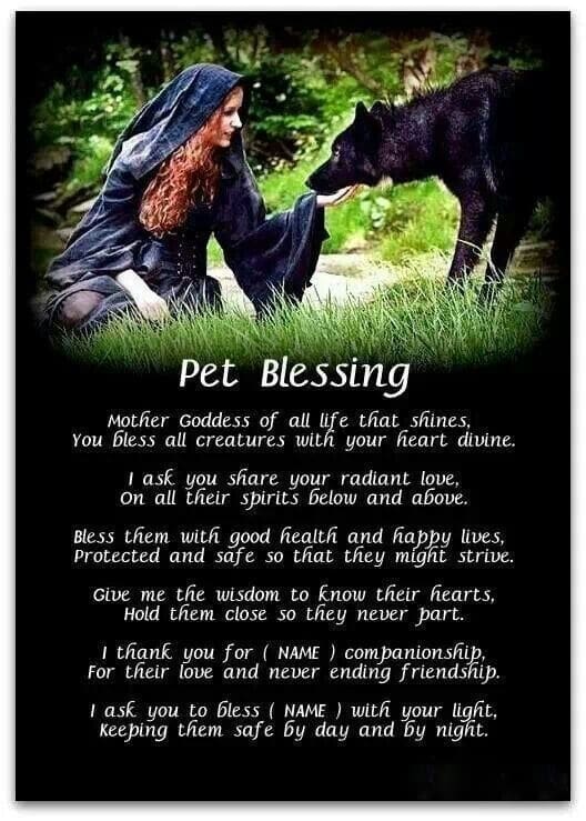 Protect your pets the Wiccan way by integrating a blessing such as this into your ritual.