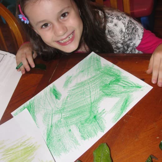 Creating Deciduous Forest Leaf Rubbings is one of the activities we did this week while learning about land biomes using the above lesson.