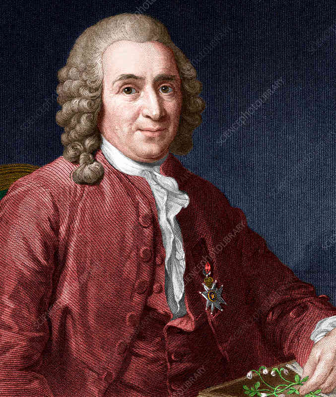 Carl Linnaeus, not only a great botanist but a pioneer in taxonomy, classification and the naming of new organisms