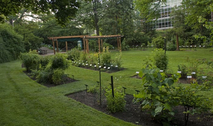 W.J. Beal Botanical Garden, MSU. Although not large, very educational and oldest in United States. University Library is in background