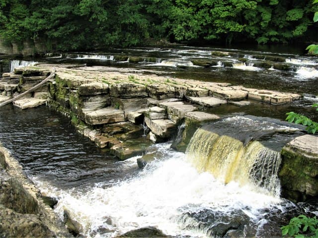 Below the castle, this is the Swale at Richmond, hurtling over rocks, plunging over low falls - dark, rich brown after rainfall with the silt and vegetation wrenched from its roots upriver