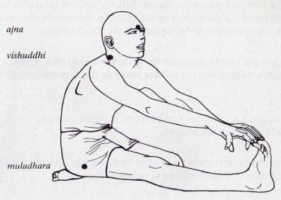 Maha Bheda Mudra, one of the kriya yoga techniques, is a highly effective way to apply pressure on your Mooladhara chakra