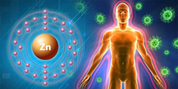 Zinc plays an important role in maintaining the human immune system at peak capacity to protect against illnesses.