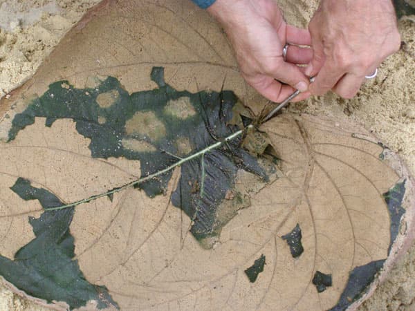 Scrape off any bits of leaf carefully from your molded concrete using your fingers or a soft manicure stick.