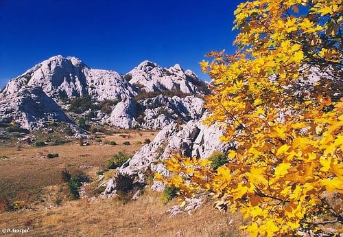 One of the most romantic and magical places on mountain Velebit: STAP, south Velebit, Croatia, where I have been and want to go again (with same company)