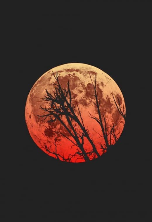 What is it about the moon that has mystified man for centuries. Why does the moon have a strange effect on some people.