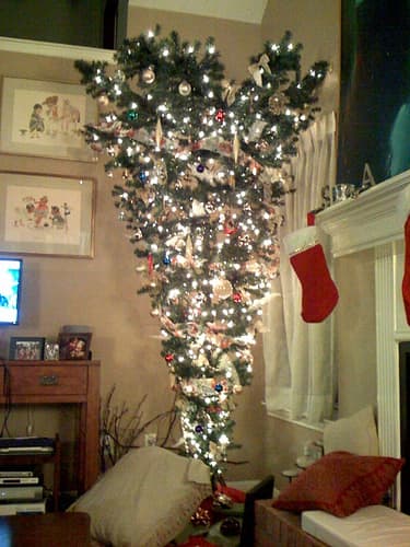 In some traditions, the tree is always arranged upside down. A change in choice of Christmas music can be just as refreshing.