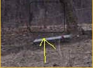 Bachelors Grove Cemetery, Chicago Illinois. See the true ghost photo above. You can clearly see the ghost in the photo above.
