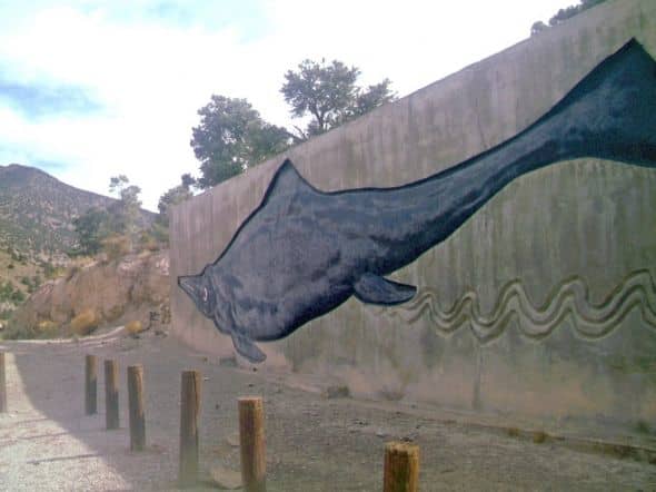 A life-sized painting done of Shonisaurus popularis, the type of ichthyosaur found at the Berlin-Ichthyosaur State Park in Nevada.