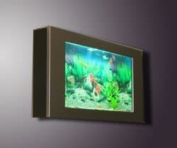 A Guide To Wall Mounted & In-wall Fish Tanks - Hubpages