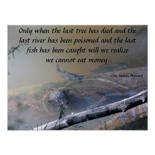 We are trying to keep the Little Tchefuncte clean and healthy so all the organisms will thrive.