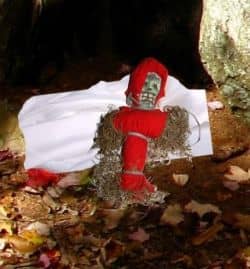 Cursed Voodoo Doll left in the woods. Photo copyright 2008 Denise Alvarado, All rights reserved worldwide.