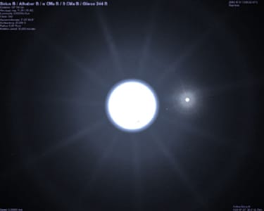 It wasn't until the 20th Century, that western astronomers finally proved the existence of Sirius B, which they found to be a White Dwarf, smaller and heavier than Sirius as the Dogon had Stated, and whose elliptical orbit caused the large Star to Wo