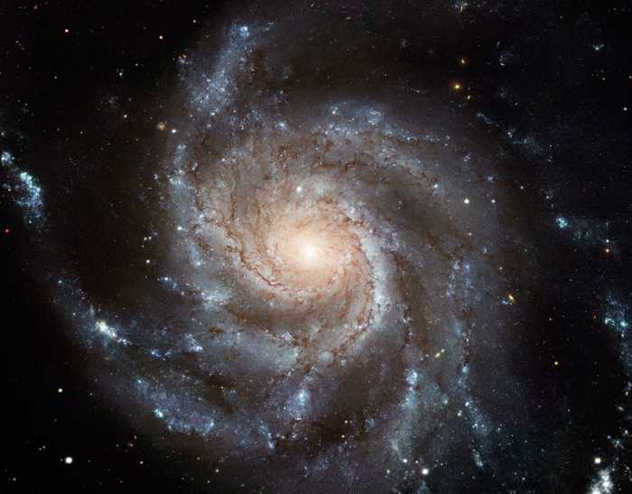 God created the universe ex nihilo--out of nothing. Apparently, the president is mastering the same divine art of creation ex nihilo.