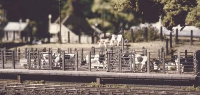 This is the Ratio Cattle Dock that comes in kit form. I had one on 'Thoraldby'. For the 'Deanthorpe' goods depot and cattle market I'll marry two together for a train of up to five/six wagons, with a yard alongside for more pens..
