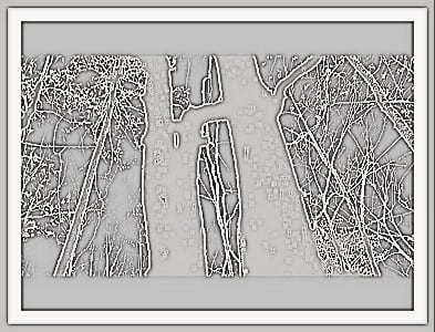 It looks as if there were a giant in the wood. Taken in the Ozark forest, April 2014. Intricate as the Mind.