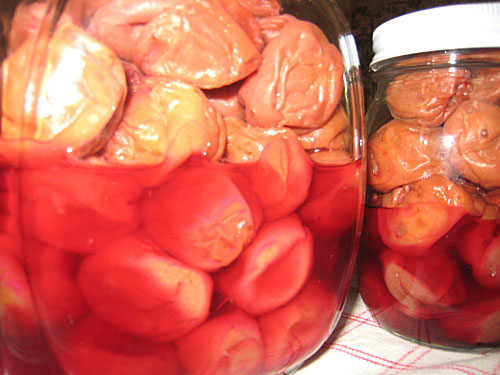 After being dried in the sun, they are pickled in brine.