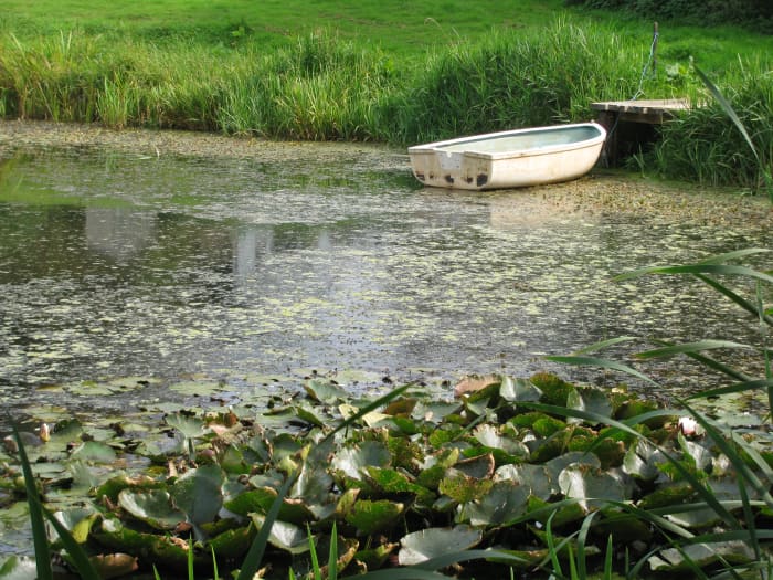 A deep lake means boating, treading water, swimming, falling in, a water-picnic?