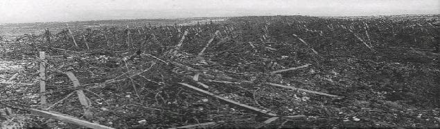 With the forest long destroyed, no man's land (between the two armies) consisted of mud, shell holes and miles of tangled barbed wire, flanked by machine guns, mortars and snipers.