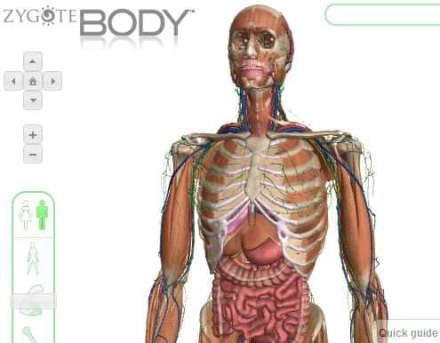 How to use 3D anatomy software to study the human body on your iPhone, iPad and laptop computer.