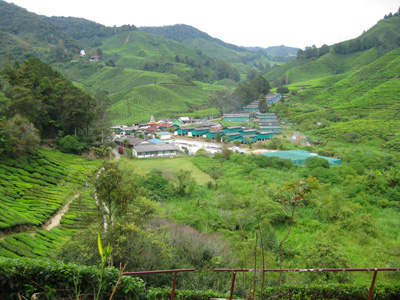 The worker's village out the back of the main building. This is where the labourers who planted and harvested the tea stayed.