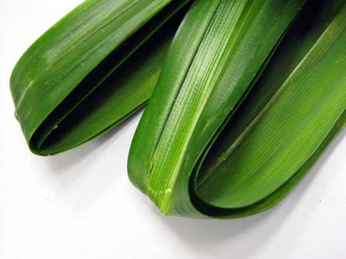 Pandan leaves are very fragrant, adding a pleasant scent to dishes. A wonderful complement to sugar syrups and coconut milk, their distinct aroma and taste also make them a flavouring of choice, at par perhaps with vanilla or chocolate.