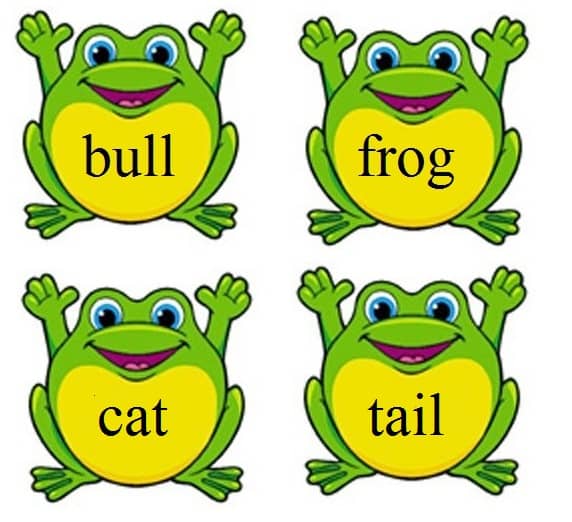Put pairs of frog cards together to form compound words. Use these compound words to describe your observations down by the frog pond.