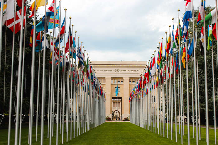 The World Bank and the IMF are both affiliated with the United Nations and share some of the UN's goals.
